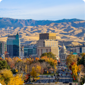 Cityscape view with a tree-lined road leading toward a mix of tall modern buildings and traditional architecture. The background features rolling hills with a clear blue sky above, creating a picturesque autumn scene with colorful foliage—a perfect inspiration for your exterior commercial painting services.
